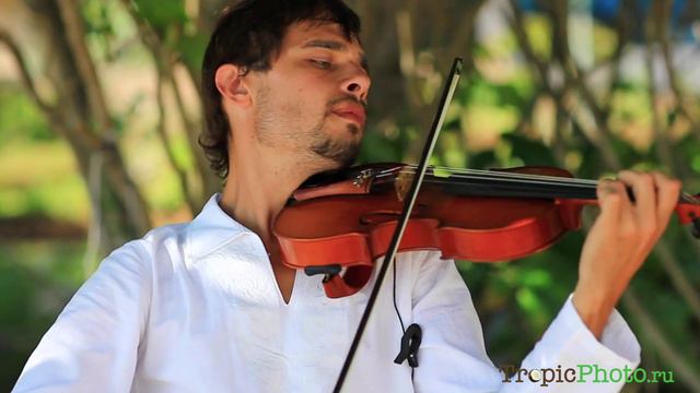 Живая музыка на свадьбе на пляже смотреть онлайн