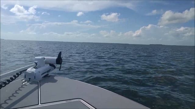 Boat Ride from Big Pine Key to Content Keys | Florida Keys смотреть онлайн