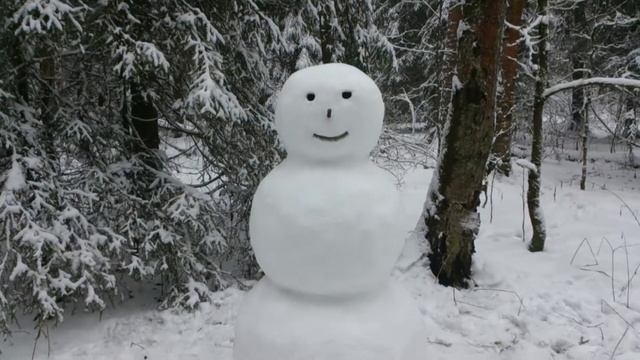 Пироговский лесопарк зимой и моя снежная фигура (снеговик) смотреть онлайн