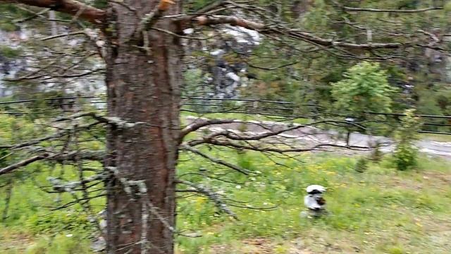 КАРЕЛИЯ.Горный парк РУСКЕАЛА.Мраморный каньон, пещера, водопад