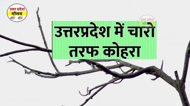 Uttar Pradesh Weather उत्तर प्रदेश मौसम Lucknow Weather mosam ki jankari 2 मार्च 2 March 2024 смотреть онлайн