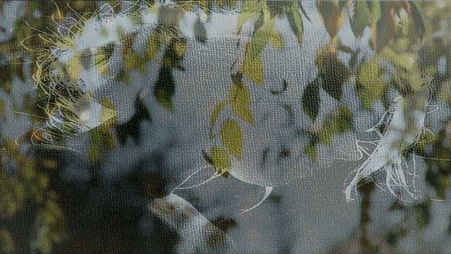 Стихотворение "Шагая своею дорогой...", автор Ирина Самарина- Лабиринт смотреть онлайн