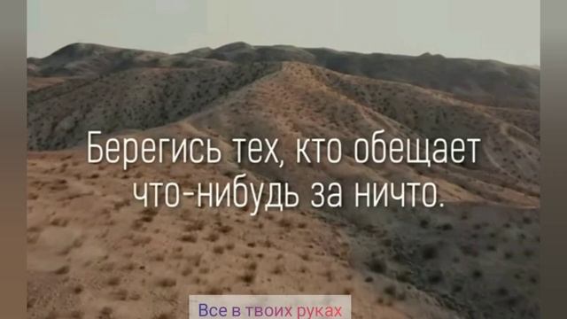 Цитаты отношение мужчиной и женщиной. Еврейские пословицы и поговорки смотреть онлайн