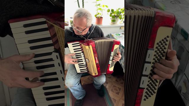 Weltmeister accordion, 3/4 accordion, 80 Bass, 34 keys, 3 voices, 5+3 registers, Original Case, SAL смотреть онлайн