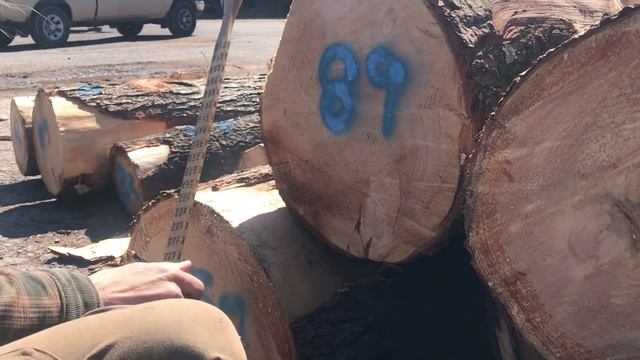 How to scale logs смотреть онлайн