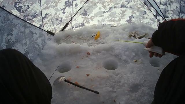 Навага.26 января 2023.Рыбалка в приморском крае. Шкотовские меляки. Поводные съемки. махалки. смотреть онлайн