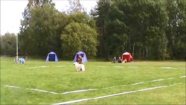 Tim htm klass 3, Tidaholm 2014-08-31 смотреть онлайн