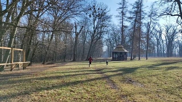 Софиевка олени.Умань.31 декабря 2022 Новый год Макар. Кормление Оленей смотреть онлайн
