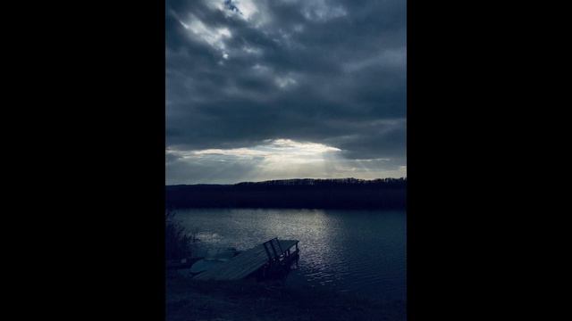 Тёмный Лес Б. И. (V. S.) смотреть онлайн