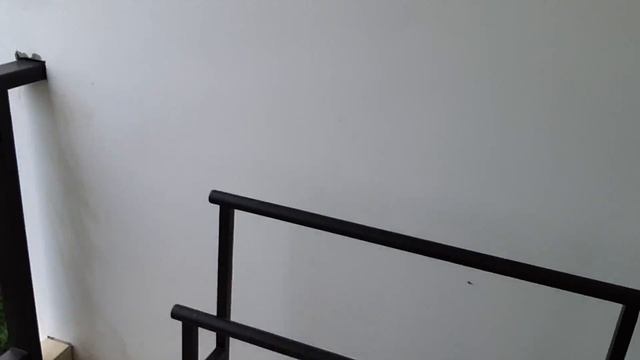 Взлетая Выше