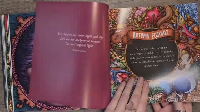 Wild Wisdom Companion & Oracle Cards Walk Through & Review Maia Toll's - Wheel Of The Year & Ritual смотреть онлайн