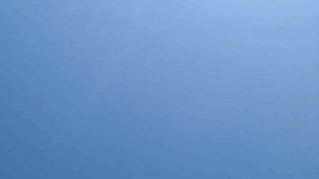 50 бойных голубей в точке красивый полёт. Двухчубые голуби. Tauben. Pigeons. Palomas. Pombos. الحما смотреть онлайн