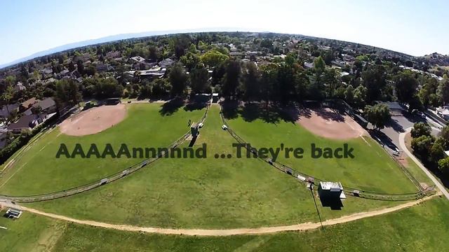 Scout x4 vs swarm of bees смотреть онлайн