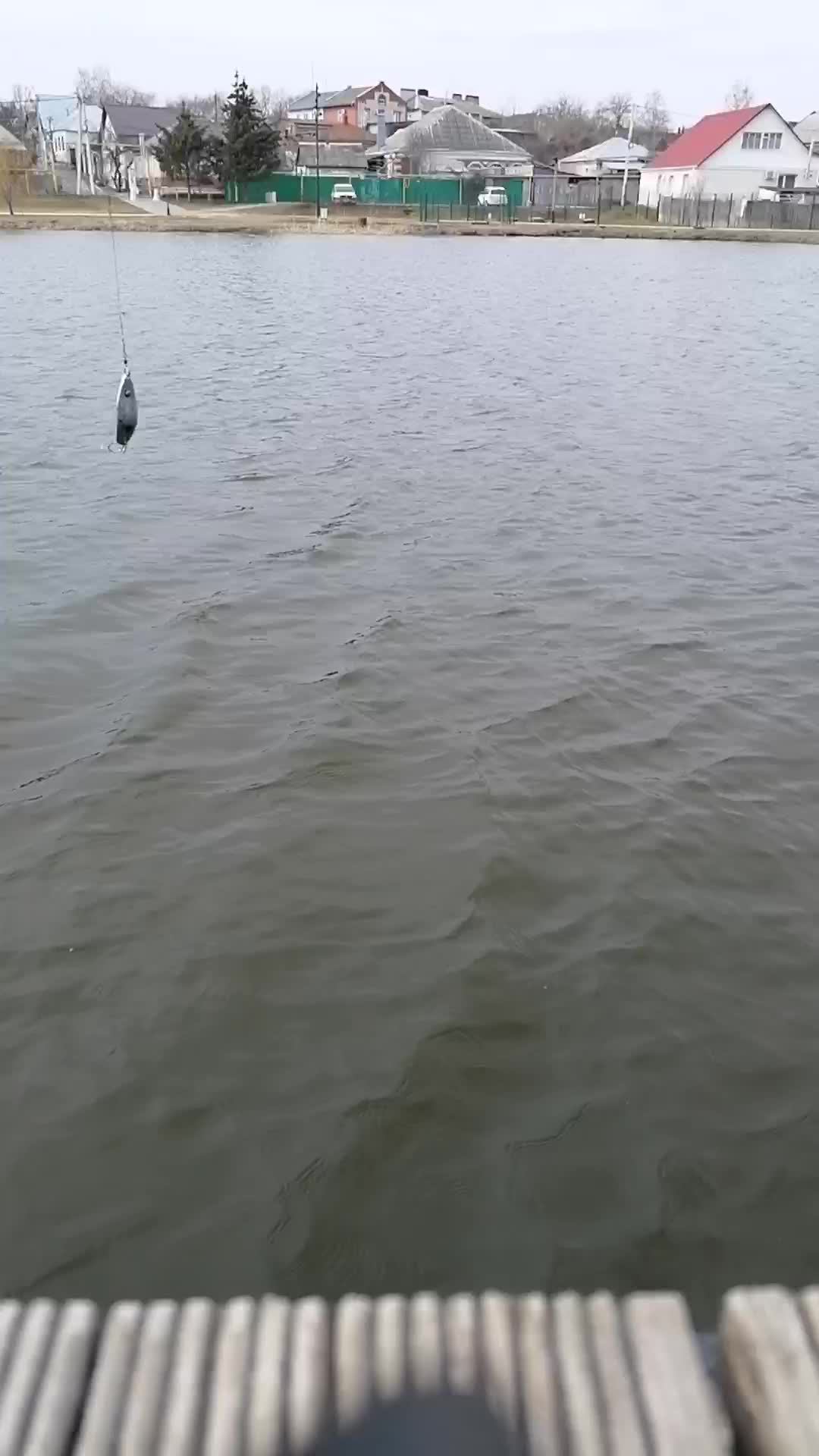 Маленький рыбачок