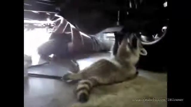 Помощник автомеханик смотреть онлайн