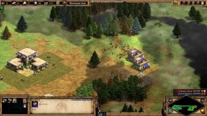 Хьюстон против ИИ (компьютера) всех уровней в Age of Empires 2: Definitive Edition