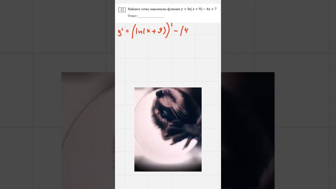 Ищем точку максимума в ЕГЭ!  #математика  #школа  #егэ  #education #maths #shorts