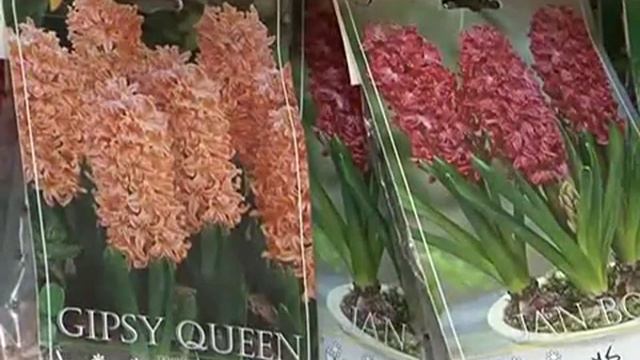 Насущные работы и актуальные товары октября смотреть онлайн