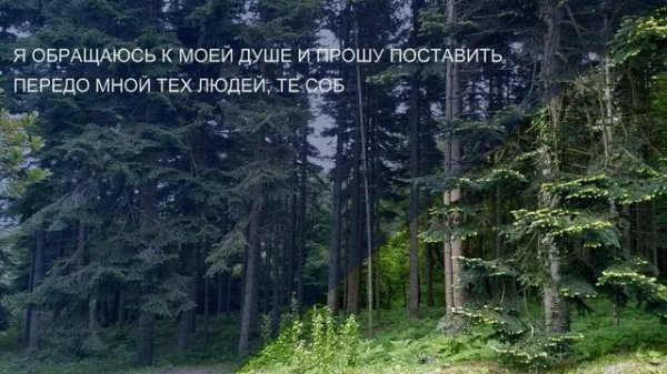 #21 Бальзам для позвоночника. Станислав Лосев_ Как вернуть уверенность в своей сексуальности.mp4
