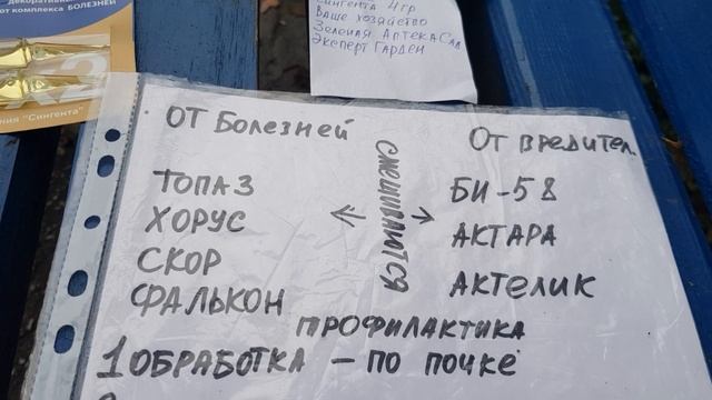 Обработала розы от тли и пятнистости после Первой Волны цветения,юг 26 июня 2021 года смотреть онлайн