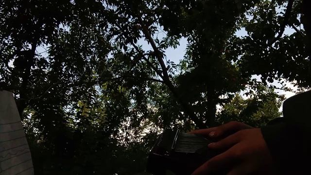 Shrek ost (I Need Some Sleep) Kalimba Cover смотреть онлайн