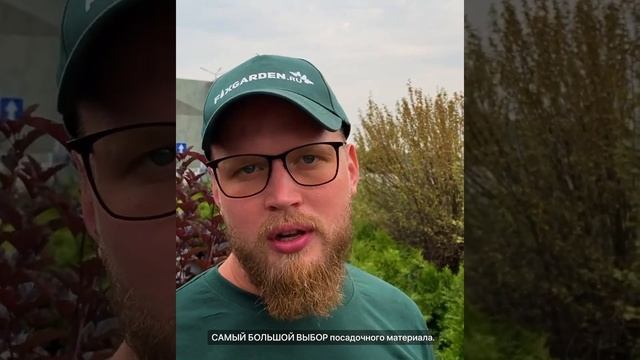 когда можно сажать растения. смотреть онлайн