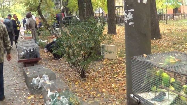 Мелитополь ч5 17 10 20 выстав птиц и тд смотреть онлайн