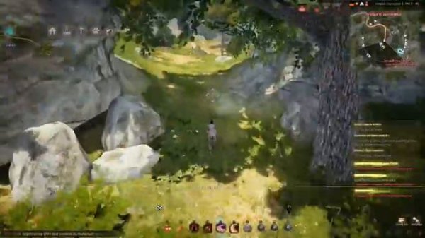 Роща отшельника , Золотой сундук, Black Desert