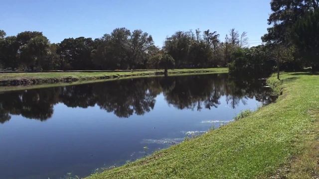 Tradewinds Park Kid's Steam Train Rides - Coconut Creek, FL смотреть онлайн