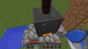 Как вырастить дракона из яйца в minecraft. Как вырастить яйцо дракона в minecraft