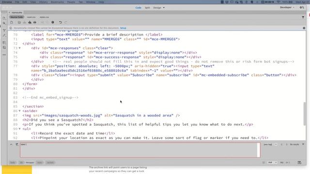 Embedding & Styling Your MailChimp Form смотреть онлайн
