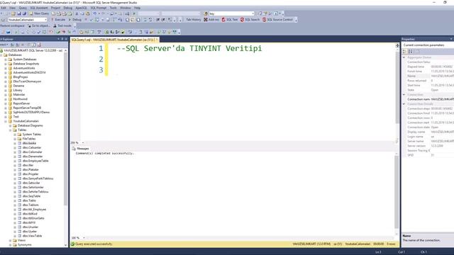 SQL Server'da TINYINT Veri Tipi смотреть онлайн