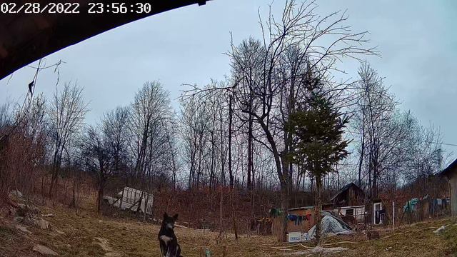 Tenda CT6, Video Sample