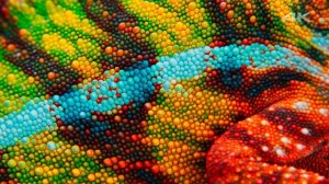 Другой мир в 4К ULTRA HD (3840 х 2160)