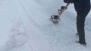 Александр Мишин. Снежные приключения... (04.12.2023)