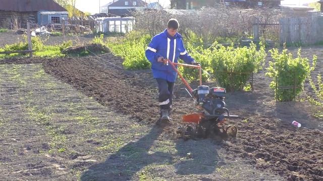 Как пахать огород с помощью собаки и мотоблока смотреть онлайн