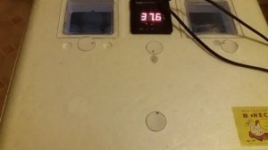 Овоскопирование  индоутиных яиц  на 30-й день. Режим инкубации с 30-го по 35-й день.