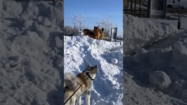 Чуть чуть ссоримся) смотреть онлайн