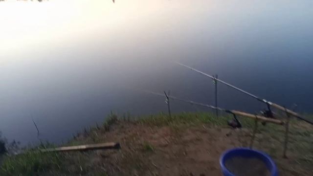 Вот она моя , долгожданная! Ночная рыбалка. Отличный КЛЁВ. Рыбычим на фидер. Природа завораживает. смотреть онлайн