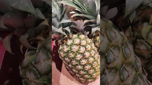 #цены #ананас Ананас великий импортный заморский. цена за штуку Pineapple imported смотреть онлайн