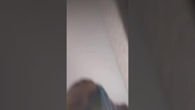 видео для тех которым 7 лет и которые умеют материться смотреть онлайн