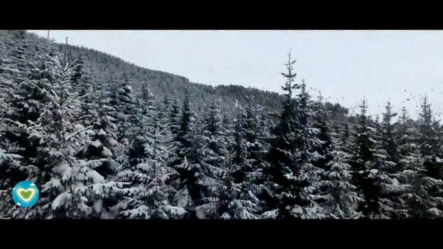 Зимние пейзажи ❄️ ❄️ ❄️ смотреть онлайн