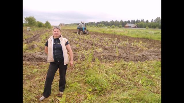 наша фазенда 2016