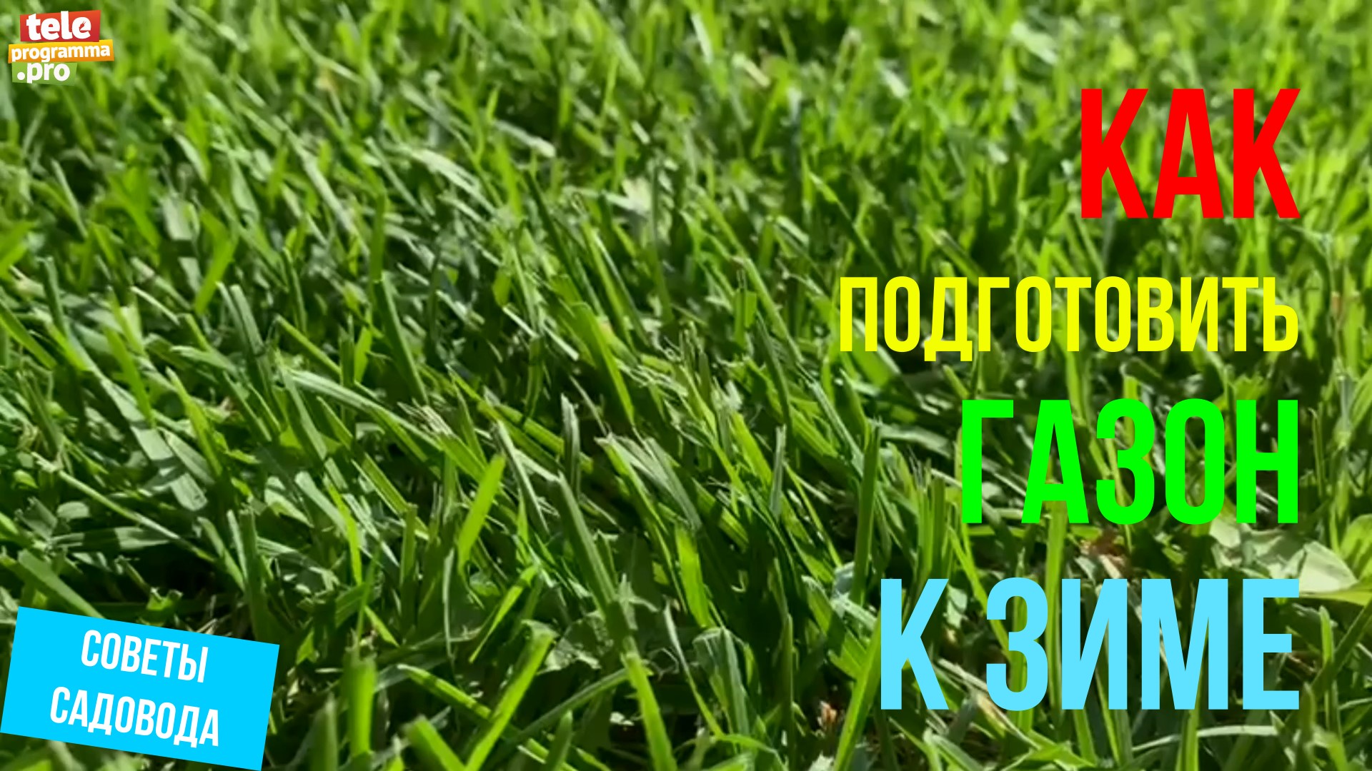 Как правильно подготовить газон к зимовке: конкретные советы в видео смотреть онлайн