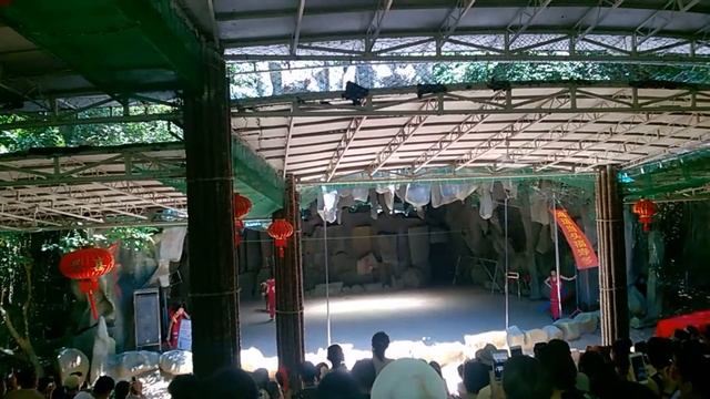 Хайнань остров обезьян шоу смотреть онлайн