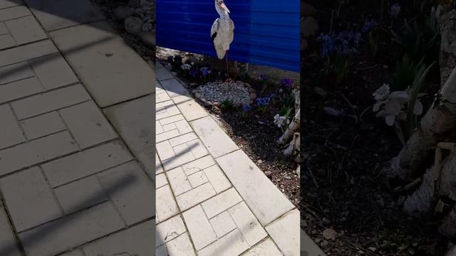 весна смотреть онлайн