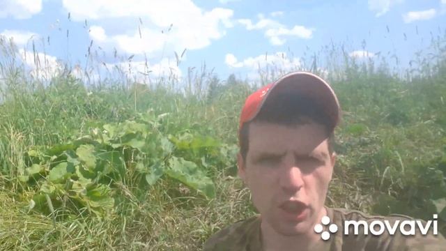 Рыбалка в Мордовии/г.Ковылкино/влог смотреть онлайн