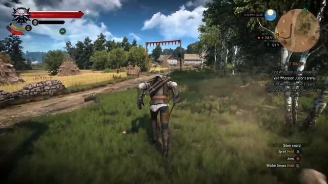 The Witcher 3: Wild Hunt - Part 21 - Dijkstra's Treasure! (Playthrough) - 1080P 60FPS - Death March смотреть онлайн