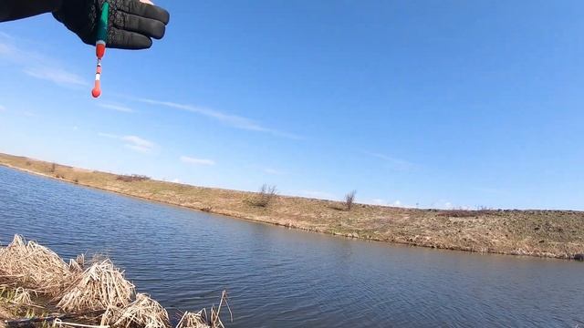 ПОЛОВИЛИ карася на поплавок и ЗАЕХАЛИ в ЛЕС за грибами! Грибалка в мае 2022 смотреть онлайн