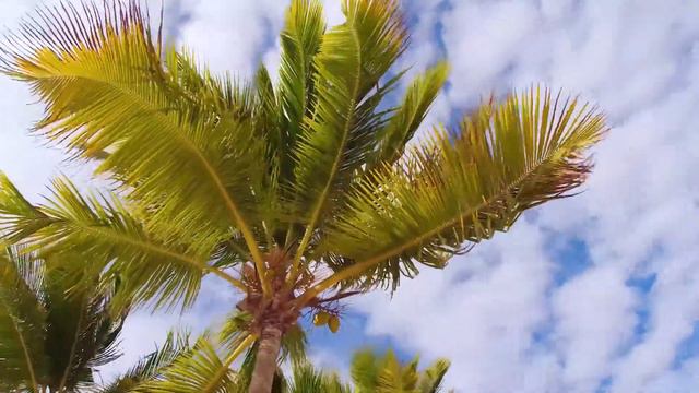 Тропическая свадьба на острове. Евгений & Юлия смотреть онлайн